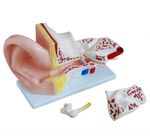 imagem-4d-303b-1