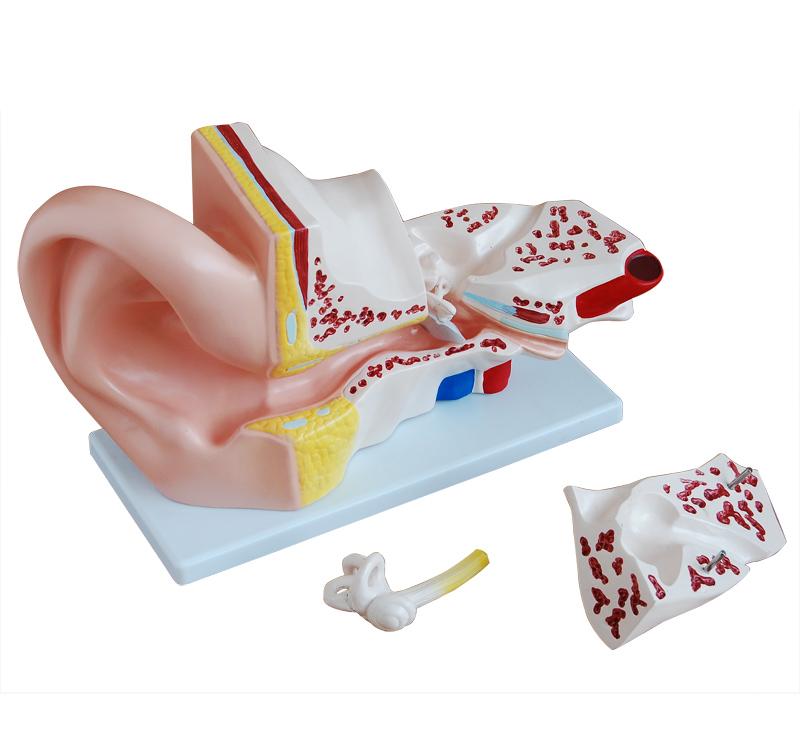 imagem-4d-303b-1