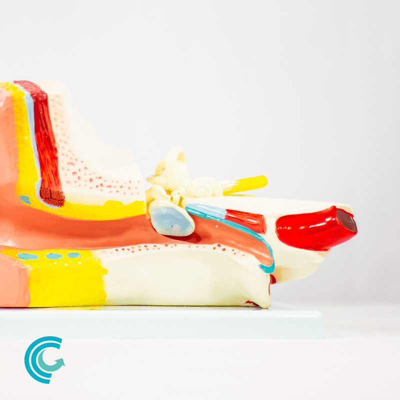 imagem-4d-303b-3