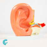 imagem-4d-303b-4