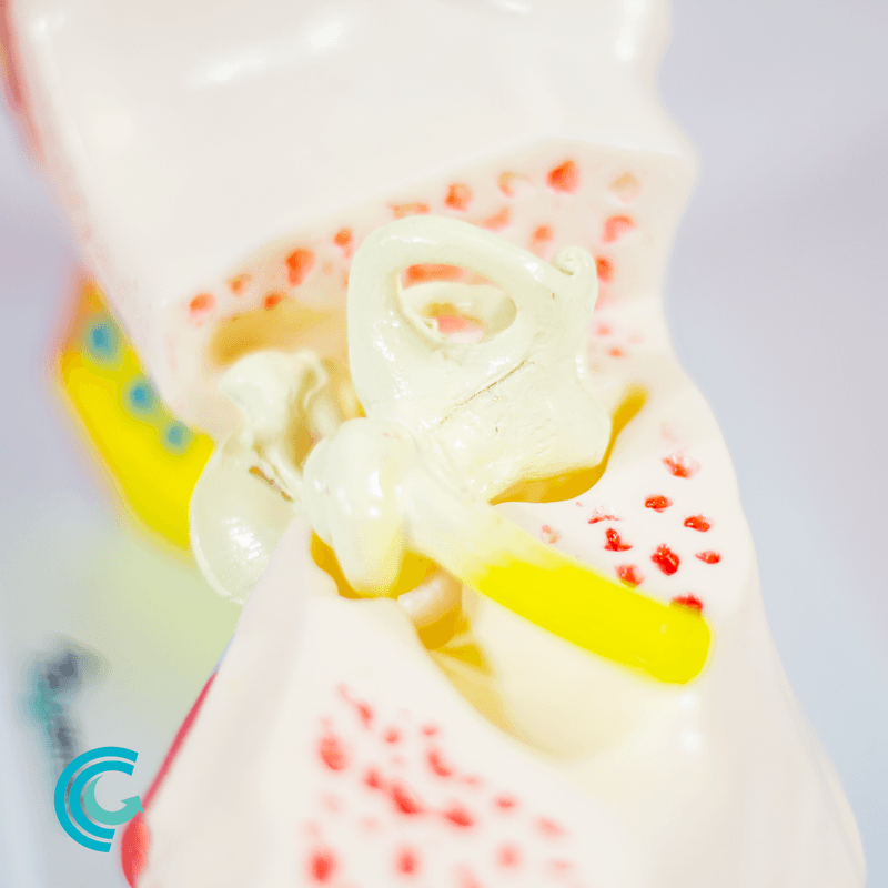 imagem-4d-303b-8