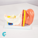 imagem-4d-303b-13