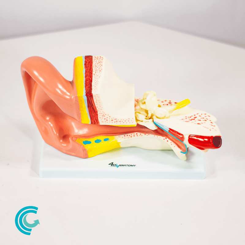 imagem-4d-303b-15