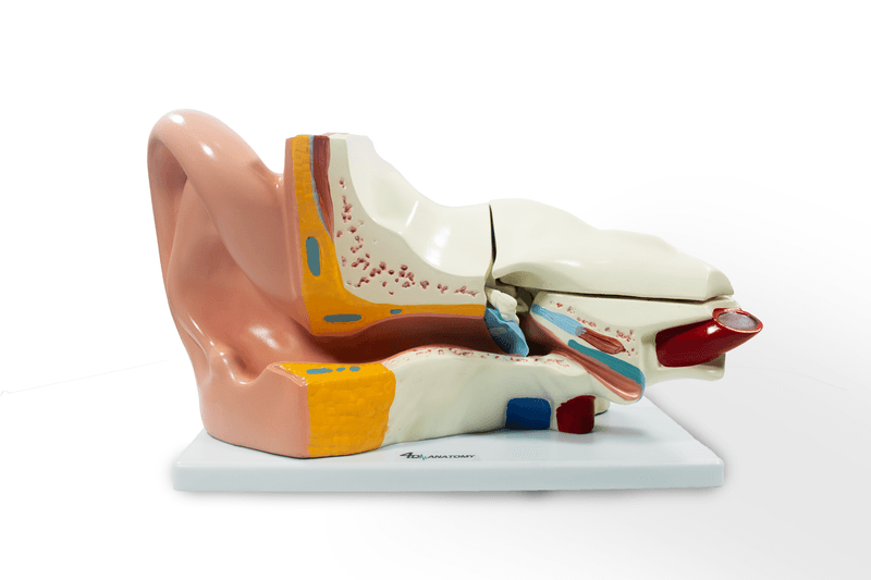 imagem-4d-303b-18