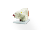 imagem-4d-303b-19