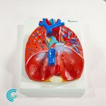imagem-4d-320-8