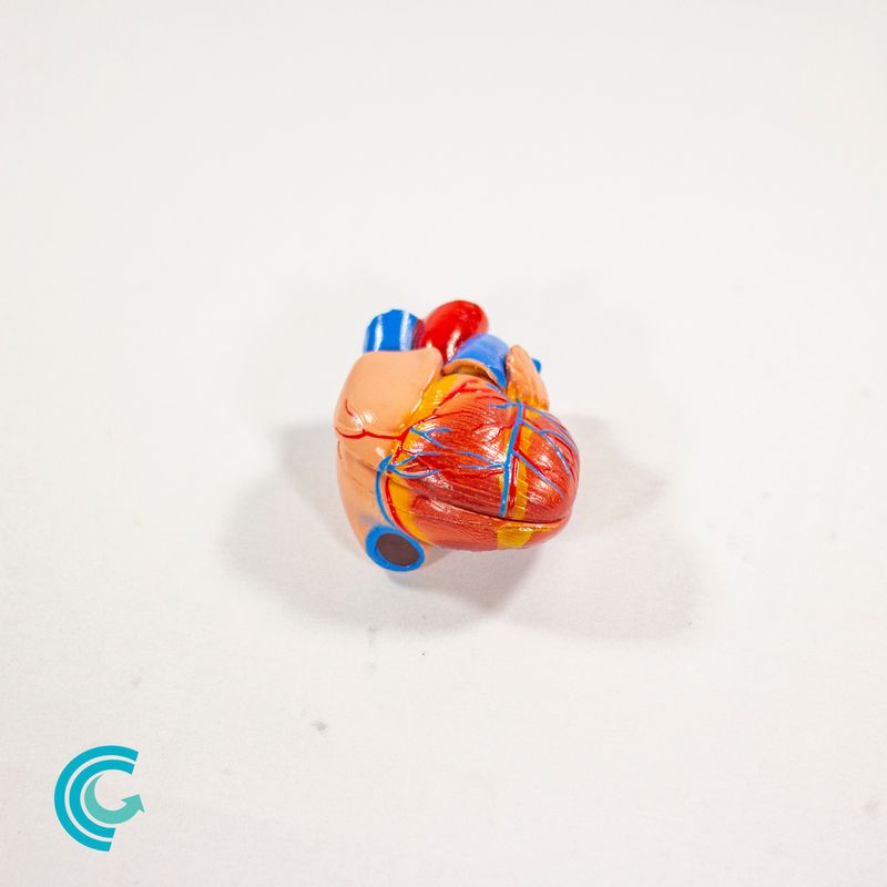 imagem-4d-320-10