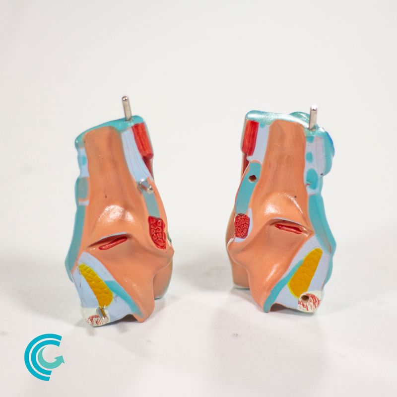 imagem-4d-320-14