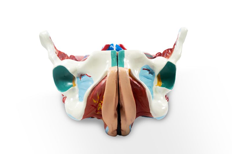 imagem-4d-332d-11