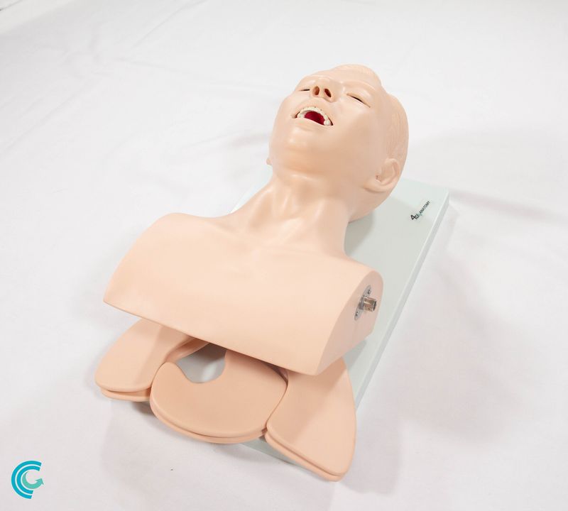 imagem-4d-407-3