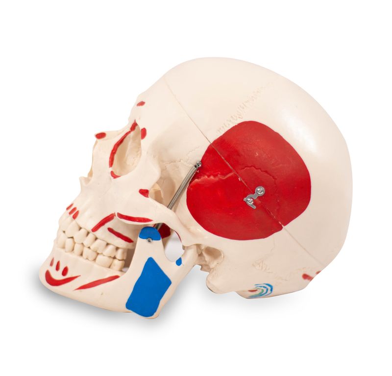 imagem-4d-104b-1