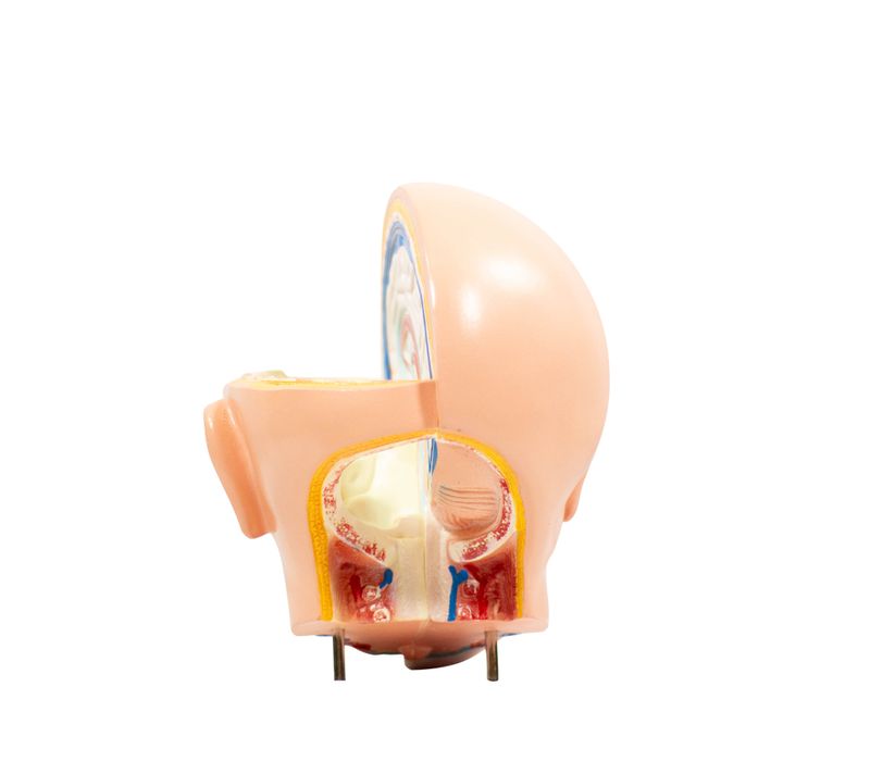 imagem-4d-208-11