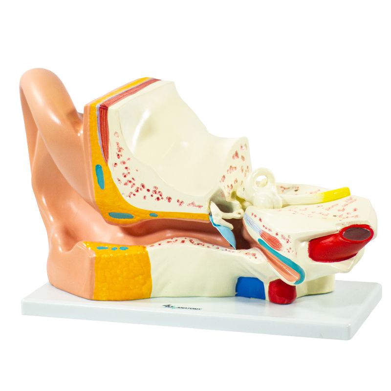 imagem-4d-303a-5