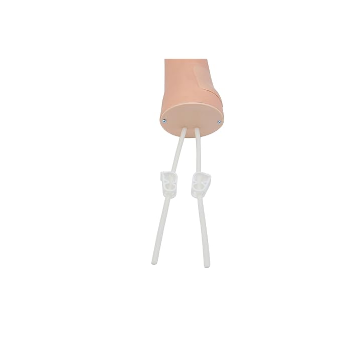 imagem-4d-434a-9