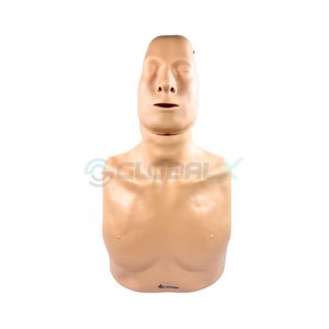 Simulador para Treinamento Emergência de RCP Torso Mecânico Adulto