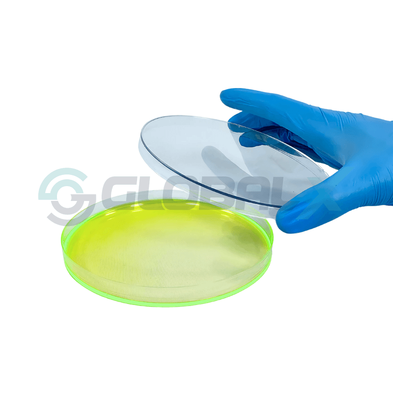 PlacaPetri-XPlast-18140A-Amostra-Tampa-Aberto.png