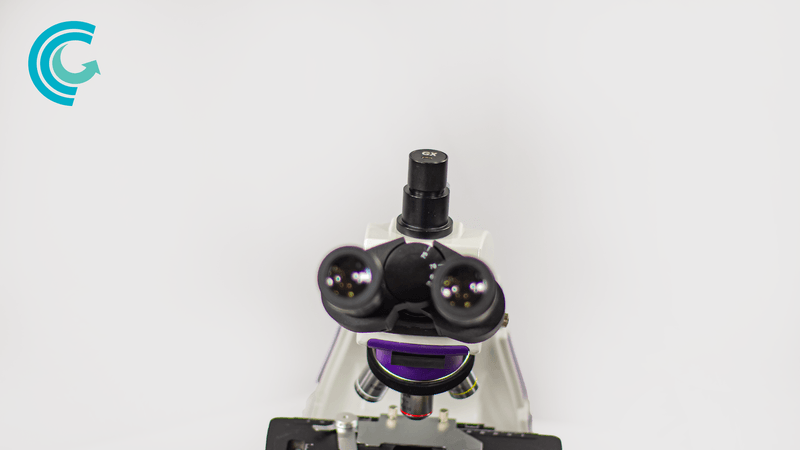 _MG_3163.png