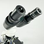 Microscopio-NewOptics-NW126B-Objetivas-OleoImersao